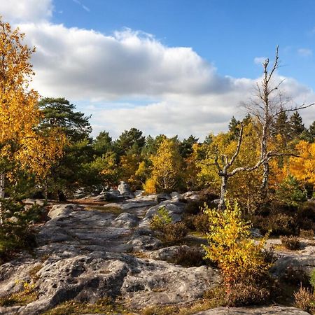 Duplex Charm Fontainebleau Lejlighed Eksteriør billede